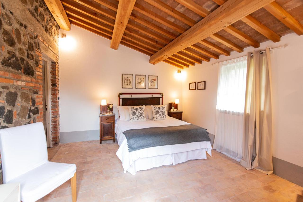 Agriturismo Borgo Di Campagna Il Tesoro Torre Alfina Εξωτερικό φωτογραφία